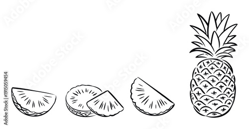 Simple hand drawn outline of a whole pineapple and various fresh tropical fruit slices perfect for refreshing beverage menus summer party invitations or healthy food product packaging