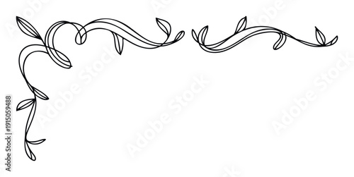 Elegant black line drawing botanical flourish for wedding invitations or decorative frame accents enhancing greeting cards or certificates