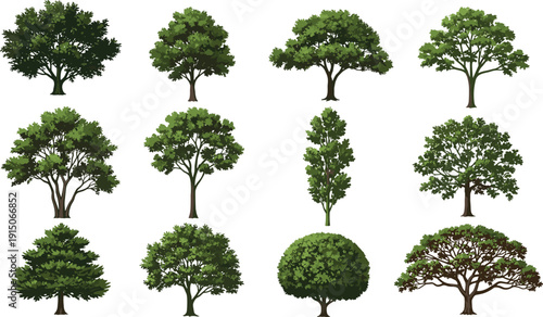 Realistic green tree collection vector illustration set, diverse deciduous and evergreen plants isolated on white background for landscape design, visualization, game assets, materials, decoration