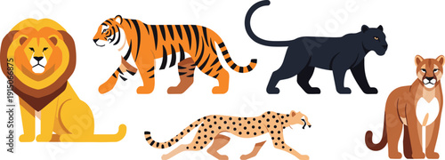 Wild Big Cats Flat Vector Set with Lion Tiger Panther Cheetah and Puma Exotic Feline Animals Collection