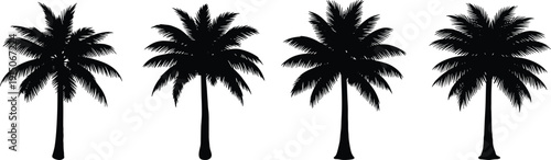 Palm tree silhouettes vector set, tropical coconut palms isolated black icons for summer beach design, logo, pattern, illustration, decoration branding