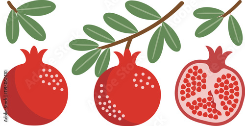 Pomegranate fruit whole and cut with seeds and leaves flat vector illustration set