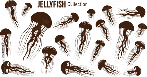 Hand drawn collection of jellyfish illustrations in various sizes and poses for marine biology and ocean themes