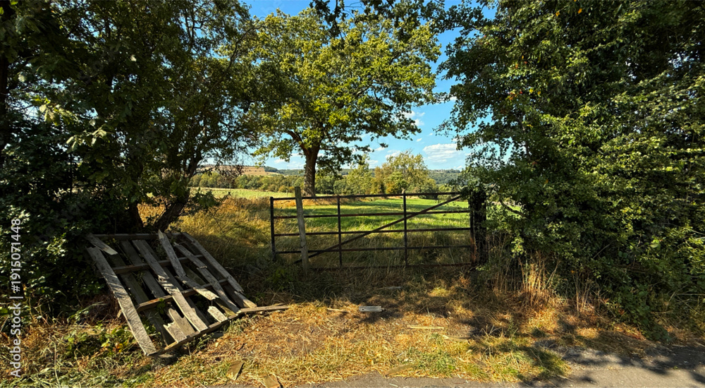 Fototapeta premium A rustic wooden gate leads into an open field surrounded by rich vegetation. The scene is illuminated by warm sunlight on a clear day in Wilsden, Yorkshire, UK
