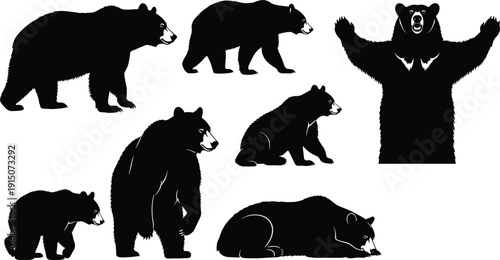 Black bear silhouette collection featuring grizzly and moon bear icons in various poses like standing walking sitting and lying for wildlife.