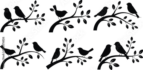 Bird silhouettes on tree branches set in black style, minimalist nature wildlife vector collection with leaves isolated on light background