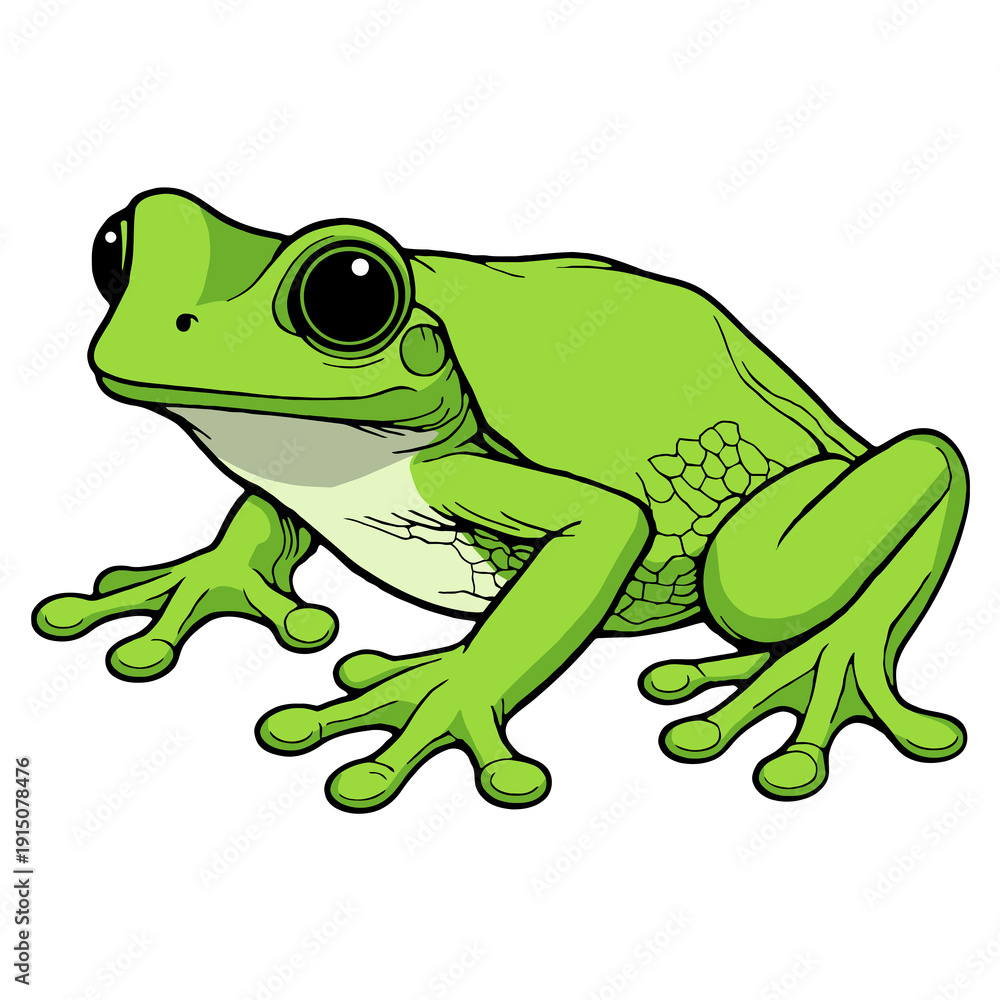 Fototapeta premium Green Tropical Tree Frog Sitting in Side View Clipart Isolated on Transparent Background