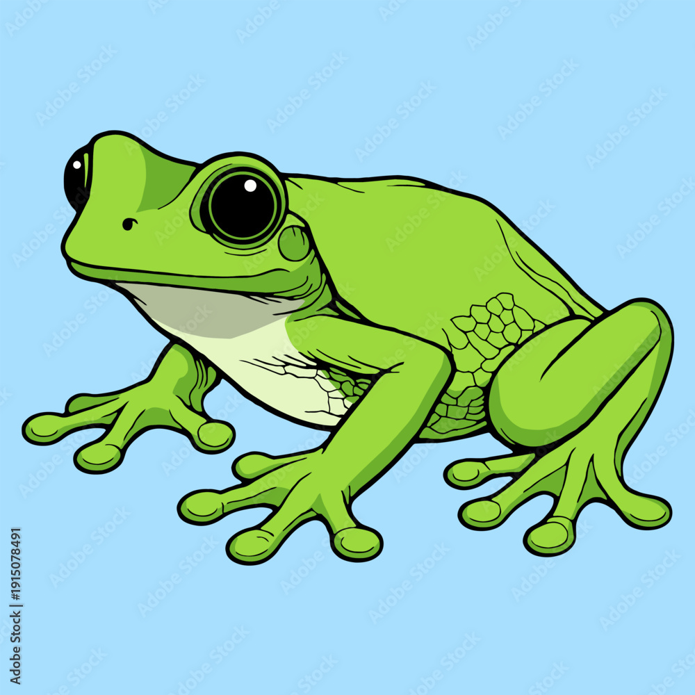 Fototapeta premium Green Tropical Tree Frog Sitting in Side View Vector Illustration