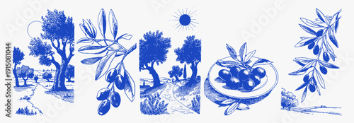 Mediterranean olive grove harvest branch countryside sketch set. Hand drawn blue trees, ripe olives and rustic bowl in vintage italian travel doodle vector for food labels or packaging.