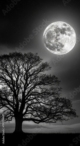 A large tree stands under a bright full moon in the night sky