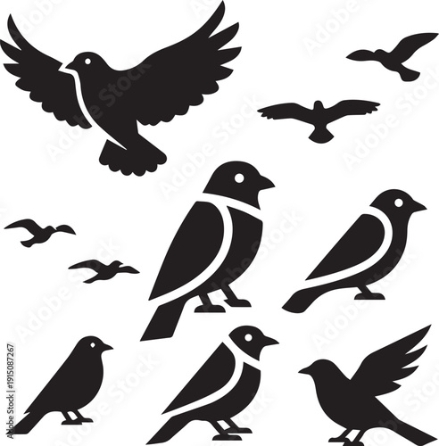 Flying bird silhouettes collection set of various avian species icons