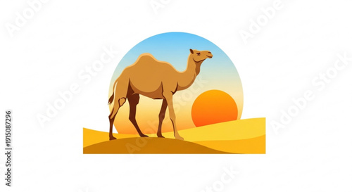 Desert camel standing on sand dune at sunset with orange sun gradient blue sky