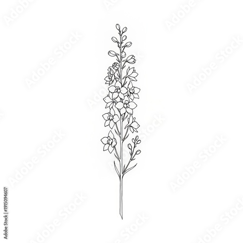Hand drawn fine line Larkspur flower tattoo sketch isolated on white background. July birth month floral illustration.