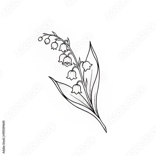 Hand drawn fine line Lily of the Valley tattoo sketch isolated on white background. May birth month floral illustration.