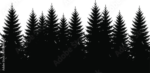 Black pine forest silhouette background, evergreen trees skyline, minimal nature landscape, winter woodland horizon, isolated on white copy space design