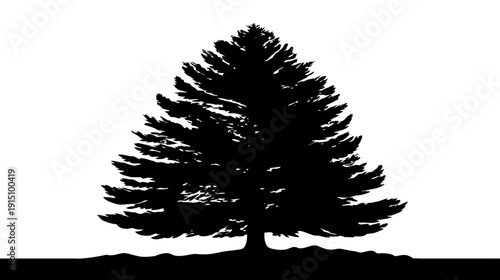 A silhouette of a detailed evergreen tree on white background with a dark, textured base