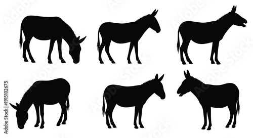 Collection of donkey silhouettes in various poses animal