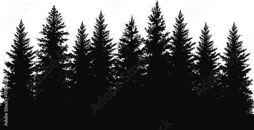 Pine forest silhouette landscape, evergreen tree line, black woodland illustration, nature background, wild forest scenery, isolated white background
