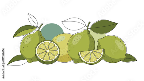 Artistic illustration of several fresh green limes whole and sliced with green leaves arranged in a balanced composition against a white background.