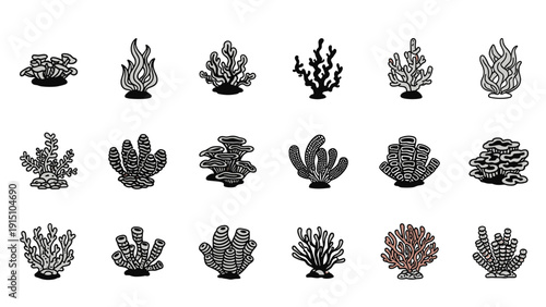 Detailed collection of diverse coral reef shapes and underwater plant species illustrated in a scientific black and white style with one colored example.