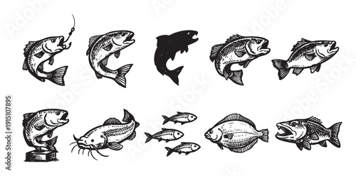A collection of different fish in vintage etching style. Good for fishing concept, seafood restaurant menu, or nautical designs. Isolated on white background.