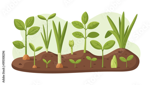 Various green seedlings and sprouts growing in rich brown soil.