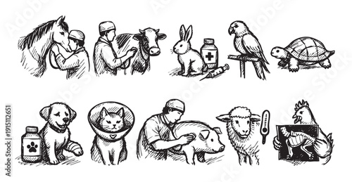 Collection of veterinary doodle style sketches depicting animal care. Includes dog, cat, horse, cow, pig, bird, turtle, rabbit, chicken. Ideal for pet-related content and veterinary promotions.