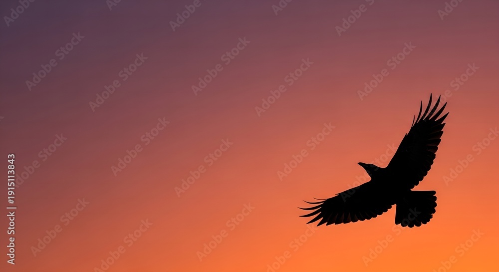 Obraz premium Silhouette of a majestic crow soaring through the vibrant orange and purple twilight sky with outstretched wings.