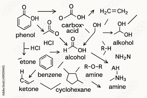 Flat Vector Organic Chemistry Reaction Map – Phenol, Carboxylic Acid, Alcohol, Ketone, Benzene and Amine Derivatives Scheme