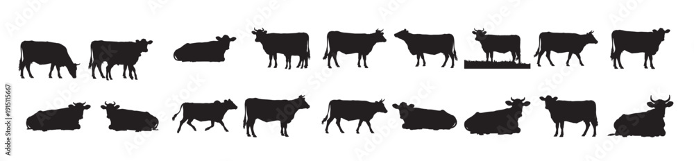 Fototapeta premium cow silhouettes collection