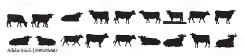 cow silhouettes collection