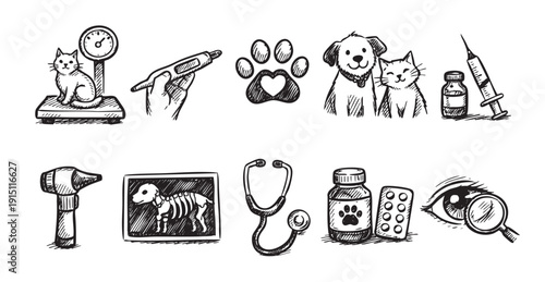Hand-drawn illustration depicting veterinary elements: cat, dog, thermometer, stethoscope, x-ray, paw print, etc. Ideal for veterinary clinic designs, pet care promotion, educational materials.