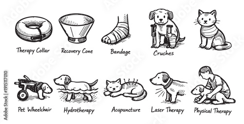 Collection of doodle-style illustrations showcasing various pet rehabilitation and therapy methods. Suitable for veterinary websites, educational material, and pet care publications.