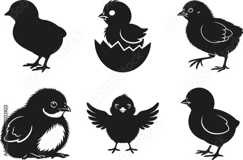 Cute Baby Chick Silhouette Vector Set with Hatching Egg Poses