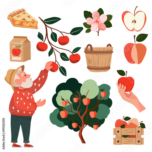 Fall Apple Picking Elements Bundle in Flat Style