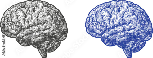 halftone human brain icon isolated on white background, black and blue vector illustration of brain anatomy with dot shading for science, psychology, and medical concepts.