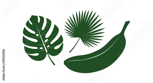 Tropical Leaves and Banana Illustration.