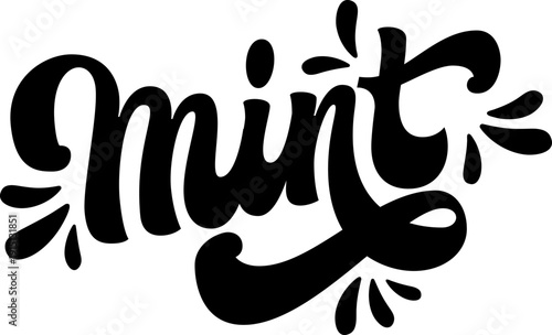 Mint. The typography features bold, flowing lettering reminiscent of 70s calligraphy, enhancing its playful character. Decorative splashes complement the design, adding movement.