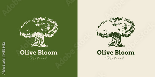 Vintage sketch olive tree logo. Extra virgin, farm product, Mediterranean cuisine, cosmetic, organic farm, packaging label. Engraved hand drawn vector illustration.