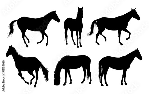 Collection of black silhouettes of akhal-teke horse in various poses on white background