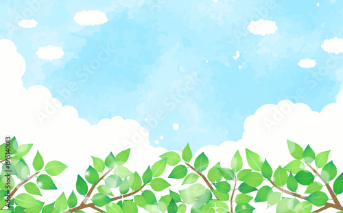新緑と青空の背景4_横