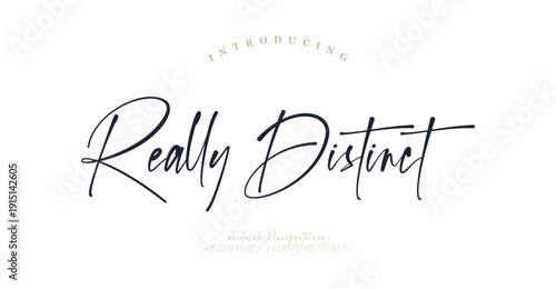 Really Distinct, Luxury script alphabet letters font with tails. Typography elegant classic lettering serif fonts and number decorative vintage retro concept for logo branding. vector illustration
