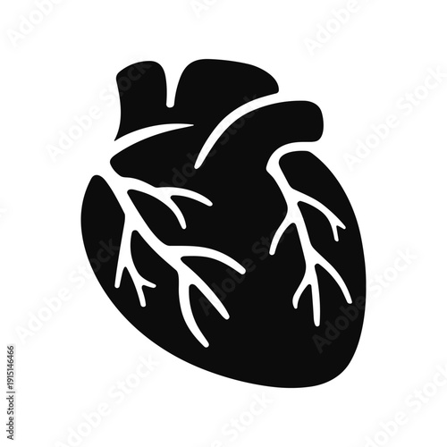 Human anatomical heart icon, cardiology organ symbol, solid black medical vector illustration