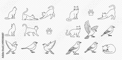 Set of outline illustrations of various cats and birds in different poses, including paw prints, on a transparent background.