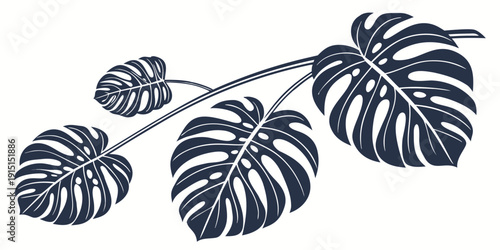 A beautiful illustration of tropical leaves with intricate vein patterns