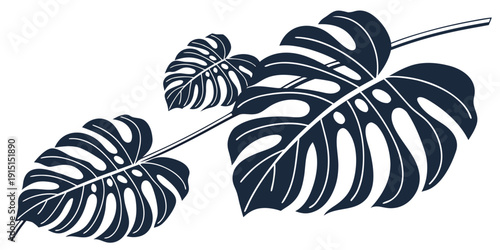 Three tropical leaves with long stems and distinct dark green patterns on a white background