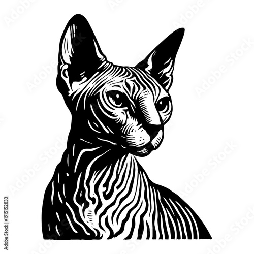 Sphynx Cat Portrait Black And White Engraving Style Close Up