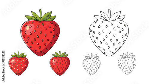 Red ripe strawberries in different sizes with green leaves, accompanied by black and white line art versions for coloring or design.