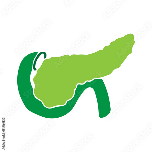 Human Pancreas Organ