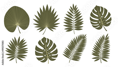 A versatile set of eight different isolated green tropical palm leaves, including monstera and fan palm, for lush, exotic designs.
